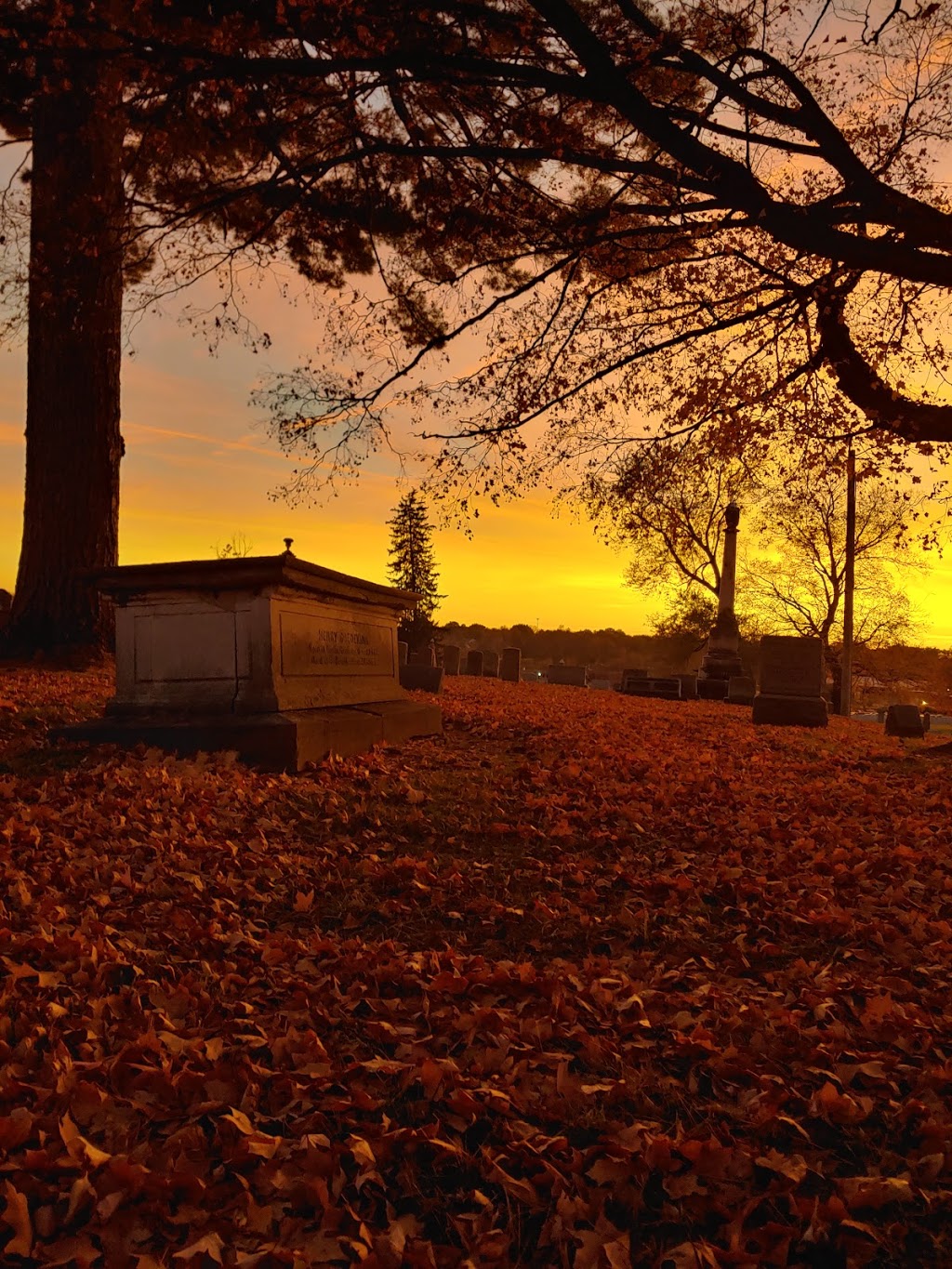 Walnut Hill Cemetery | 1101 Mascoutah Ave, Belleville, IL 62220, USA | Phone: (618) 257-3330