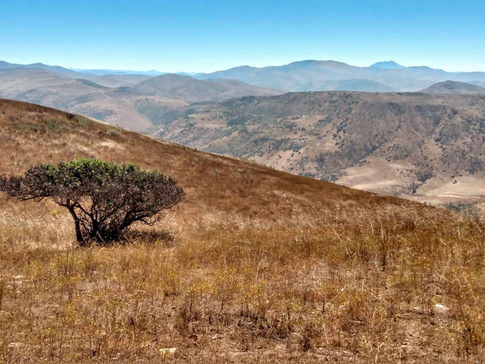 Rancho Lupita Equinoterapia | 22765 Ensenada, Baja California, Mexico | Phone: 661 113 0215