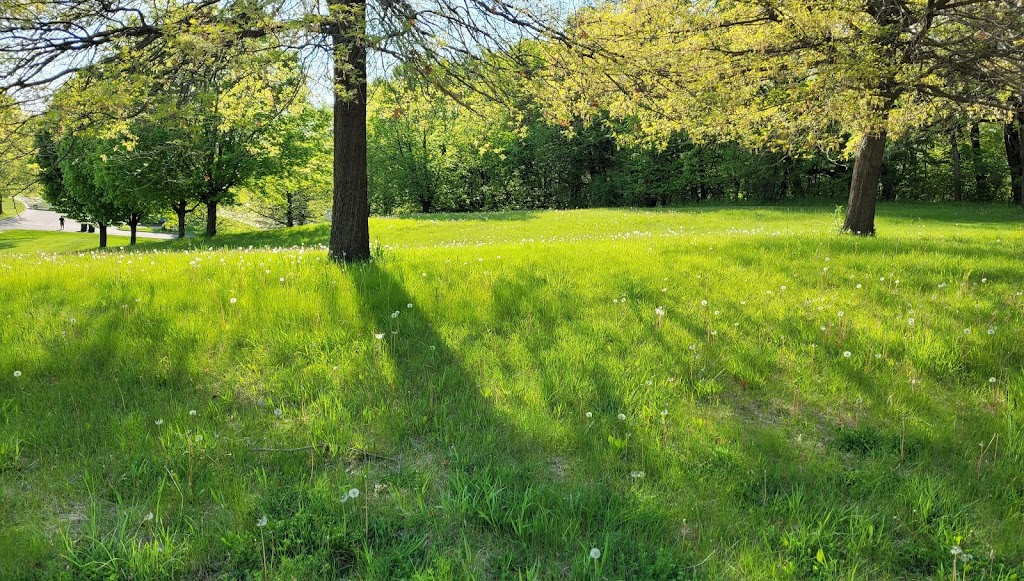 Bush Lake Park - Picnic Shelter #3 | 9098 E Bush Lake Rd, Bloomington, MN 55438, USA | Phone: (952) 563-8877