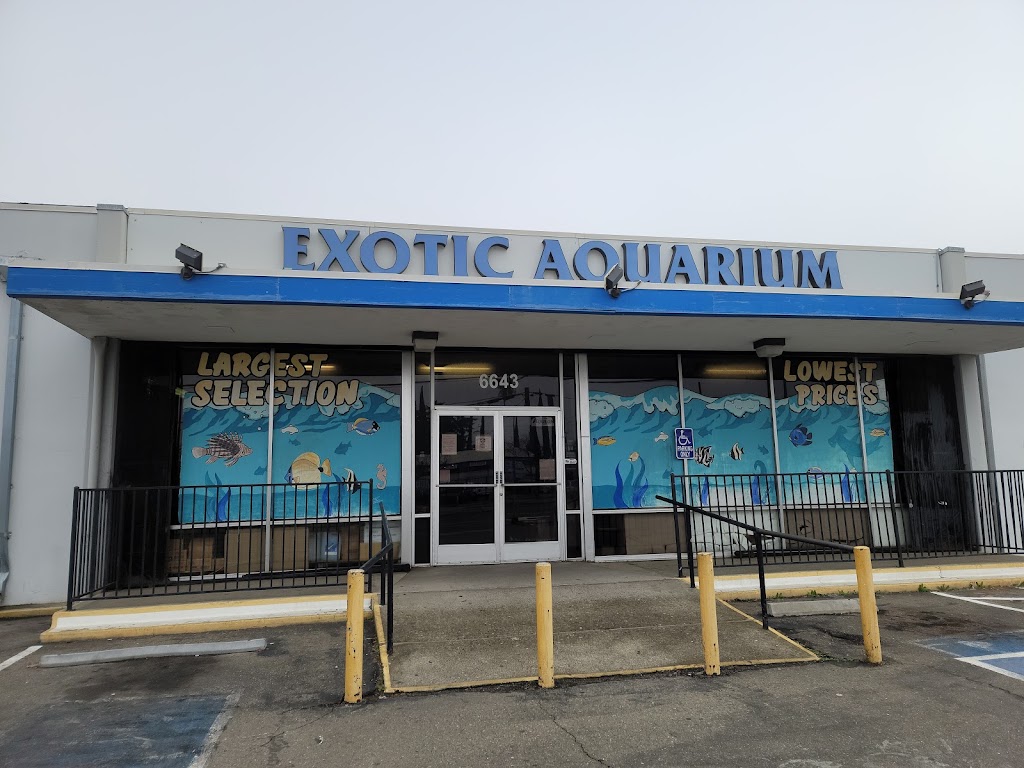 Exotic Aquarium | 6643 Franklin Blvd, Sacramento, CA 95823, USA | Phone: (916) 422-7266