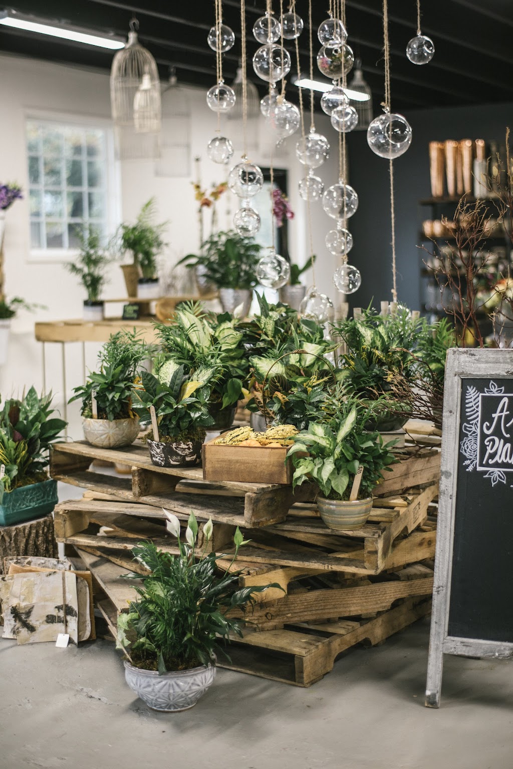 Nectar | 910 Pecan Ave, Charlotte, NC 28205, USA | Phone: (704) 905-9808