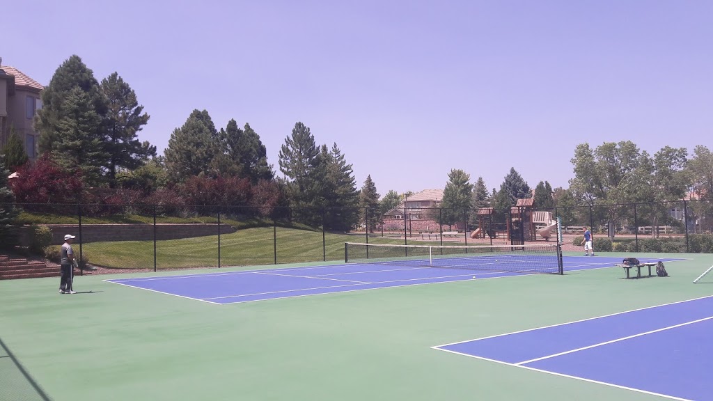 Rhino Sport Game Courts | 9075 S Cedar Hill Way, Lone Tree, CO 80124, USA | Phone: (303) 284-4948