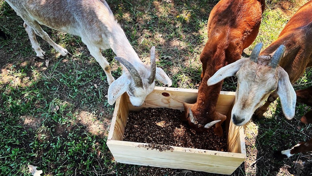 Salamis Farms | 10349 Shadow Valley Ct, Burleson, TX 76028, USA | Phone: (918) 815-0245