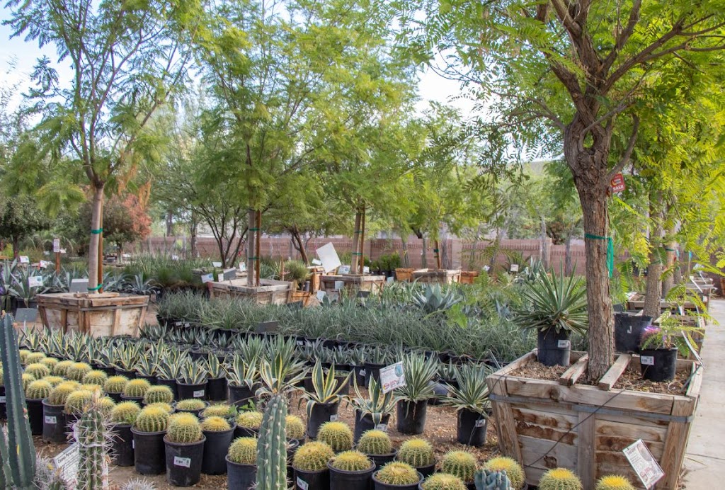 Moon Valley Nurseries | 2653 E McKellips Rd, Mesa, AZ 85213, USA | Phone: (480) 648-0943