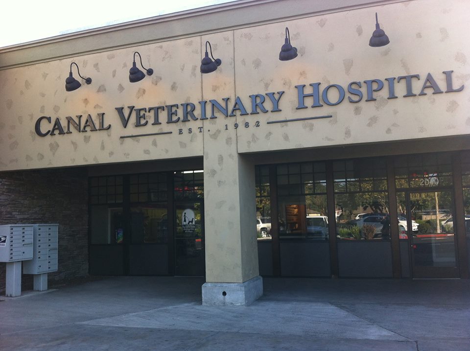 Canal Veterinary Hospital | 2040 E Canal Dr, Turlock, CA 95380, USA | Phone: (209) 668-1807