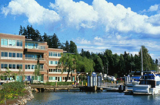 MauSOULeum Reiki & Shamanic Sound Healing | 16907 430th Ave SE, Gold Bar, WA 98251, USA | Phone: (949) 295-1289