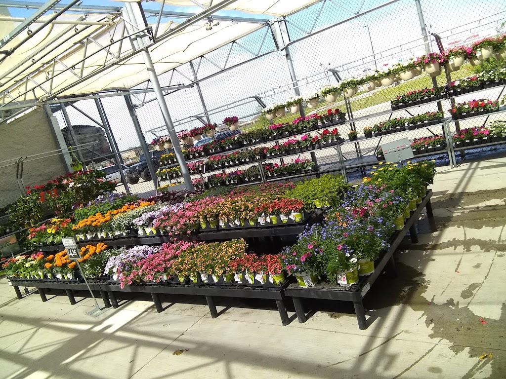 Walmart Garden Center | 701 W Princeton Dr, Princeton, TX 75407, USA | Phone: (972) 736-6491