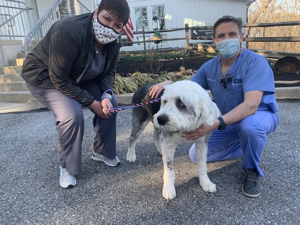 Veterinary Dentistry Specialists | 455 Old Baltimore Pike, Chadds Ford, PA 19317, USA | Phone: (484) 775-0557