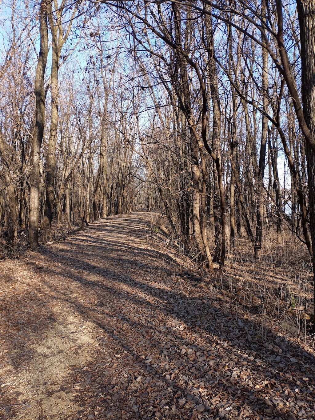 Acewood Park | 1402 Acewood Blvd, Madison, WI 53716, USA | Phone: (608) 266-4711