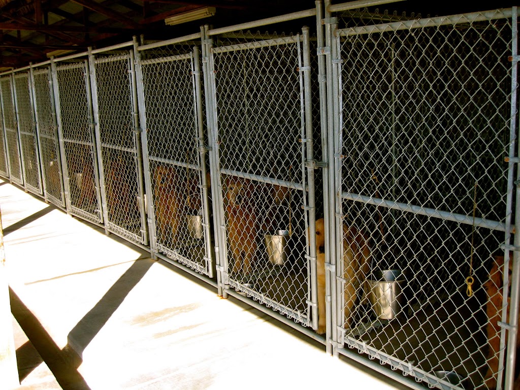 Fetch This Kennels | 10465 Stone Quarry Rd, Payette, ID 83661 | Phone: (208) 642-4245