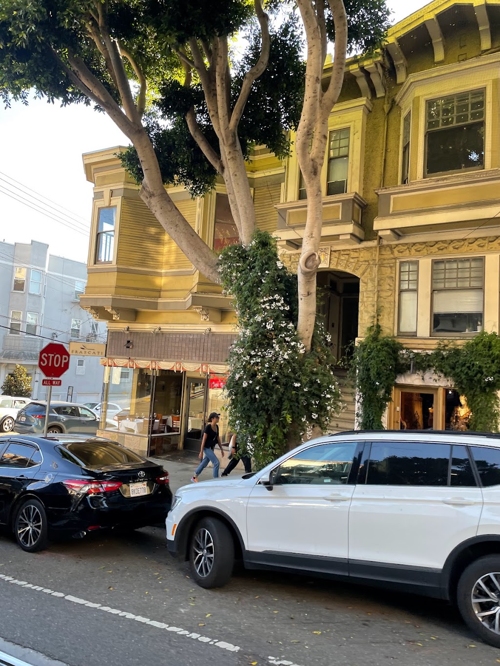 Elegant Cleaners | 1871 Hyde St, San Francisco, CA 94109, USA | Phone: (415) 474-4443