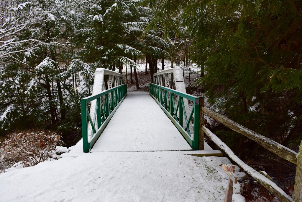 Pumpkin Hollow Retreat Center | 1184 Co Rd 11, Craryville, NY 12521, USA | Phone: (518) 325-3583