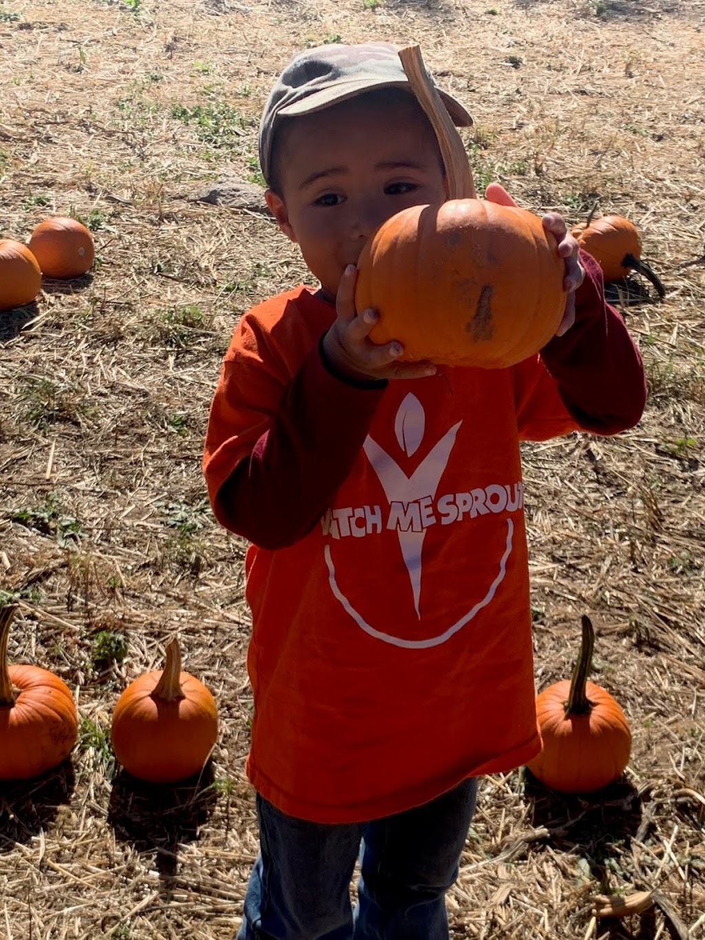 Watch Me Sprout Childcare Center | 16819 New Hampshire Ave, Silver Spring, MD 20905, USA | Phone: (301) 989-4673