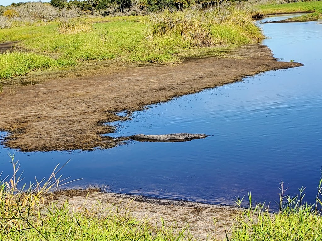 Myakka River State Park Clay Gully Picnic Area | 28722 Clay Gully Rd, Myakka City, FL 34251, USA | Phone: (941) 361-6511