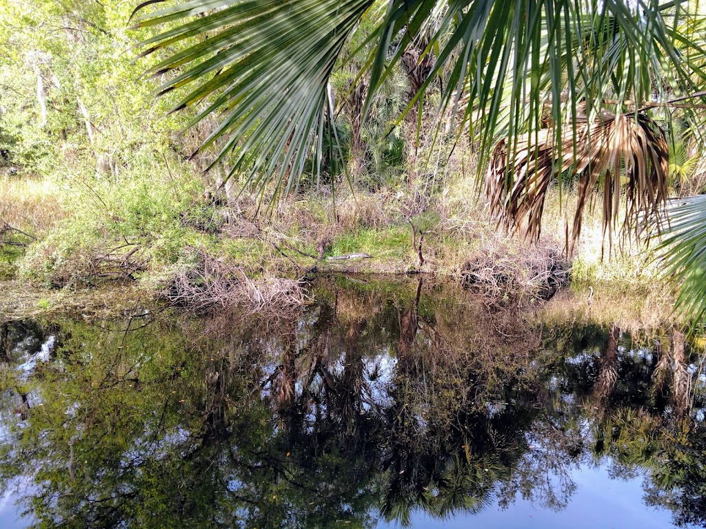 Myakka River State Park Clay Gully Picnic Area | 28722 Clay Gully Rd, Myakka City, FL 34251, USA | Phone: (941) 361-6511