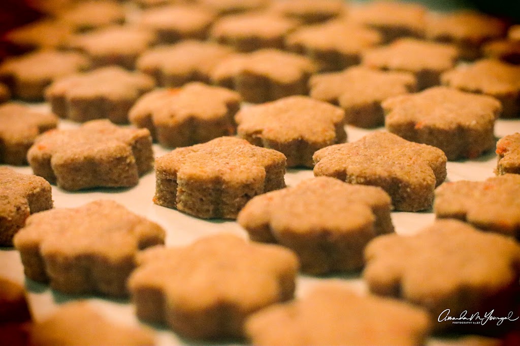 Fur Real Dog Treats | 3021 Commercial Way, Spring Hill, FL 34606, USA | Phone: (727) 697-7185