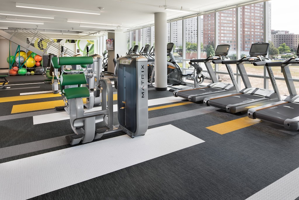 The Pearl | 180 High Park Ln, Silver Spring, MD 20910, USA | Phone: (301) 587-3275
