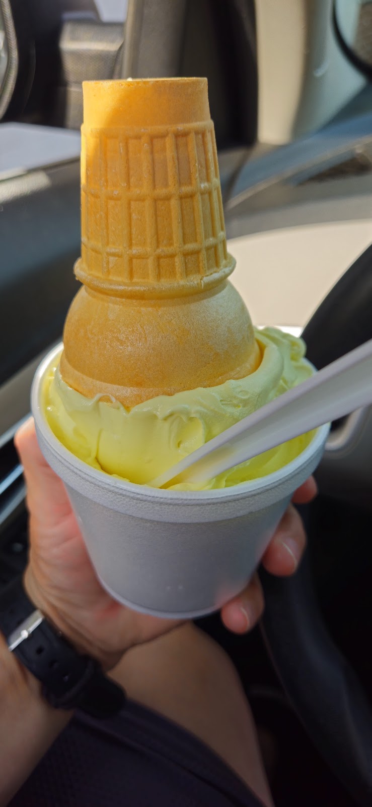 Edon Dairy Treat | 104 S Michigan St, Edon, OH 43518, USA | Phone: (419) 272-2331