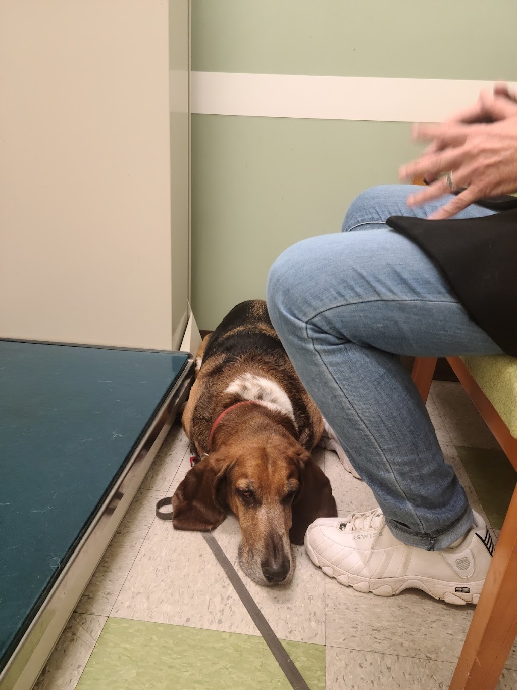 UrgentVet Pet Clinic - Fort Mill | 870 Gold Hill Rd #102, Fort Mill, SC 29708, USA | Phone: (803) 486-2550