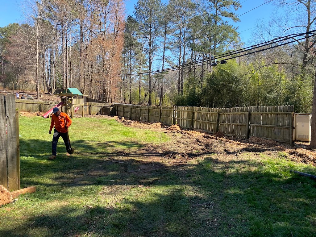 Danilos Professional Tree Service and Landscaping Co. | 3458 Charles Hardy Pkwy, Dallas, GA 30157, USA | Phone: (678) 988-8690