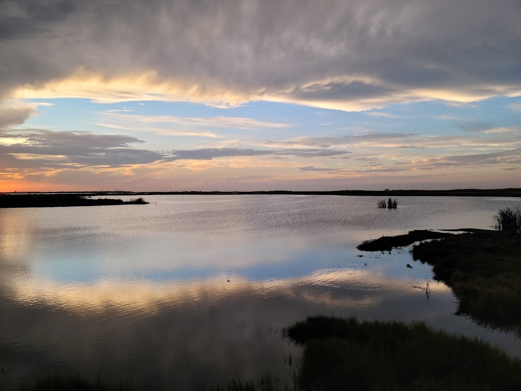 Leonabelle Turnbull Birding Center | 1356 Ross Ave, Port Aransas, TX 78373, USA | Phone: (361) 749-4111