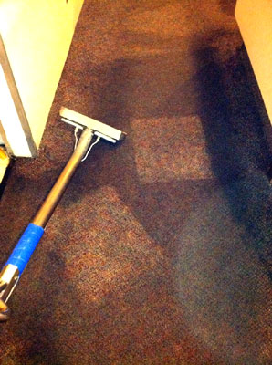 Americlean Carpet and Upholstery Cleaning | 14334 Fruitvale Rd, Valley Center, CA 92082, USA | Phone: (760) 749-6989