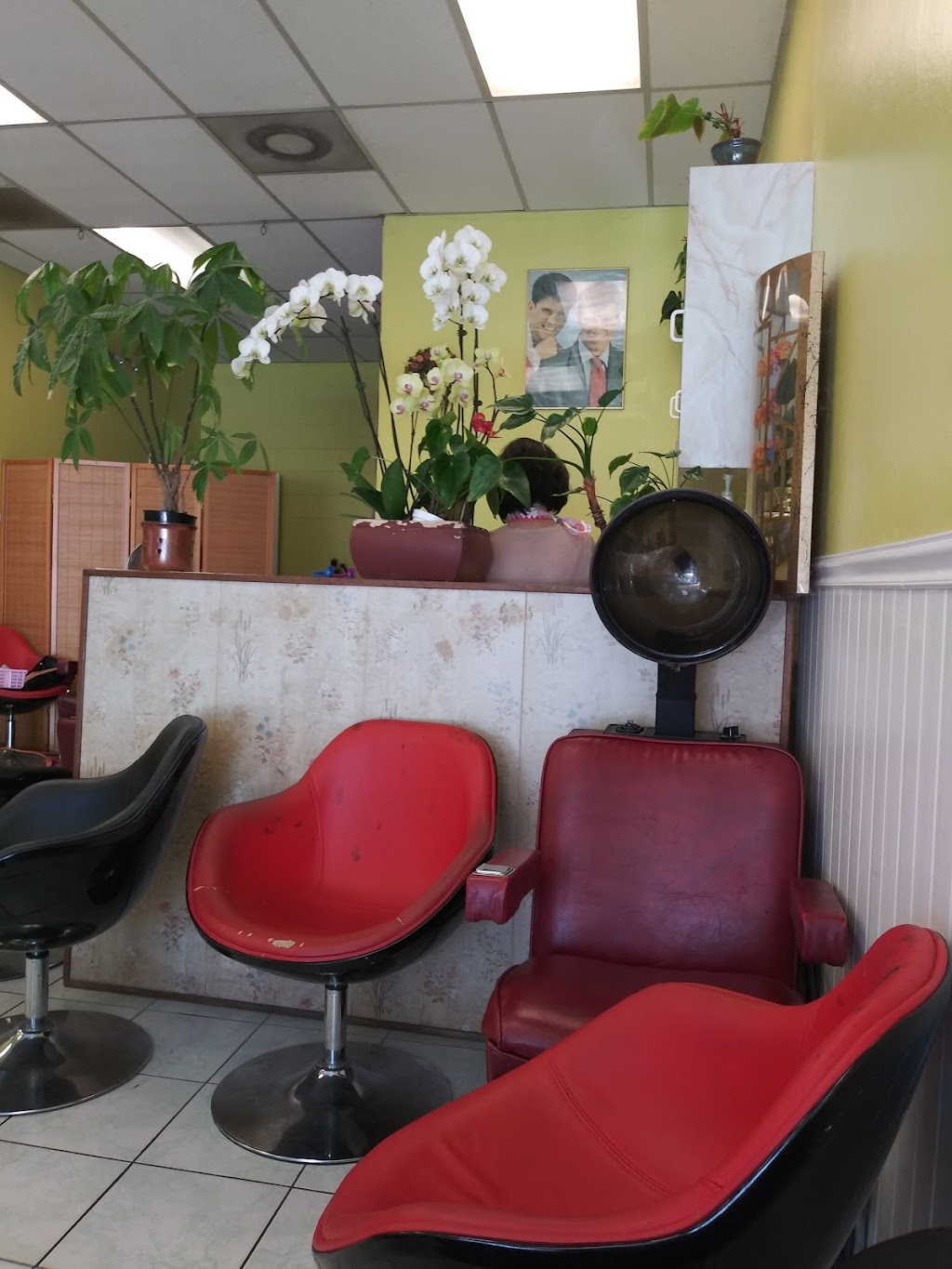 High Life Beauty Salon | 1611 Flickinger Ave, San Jose, CA 95131, USA | Phone: (408) 729-4921