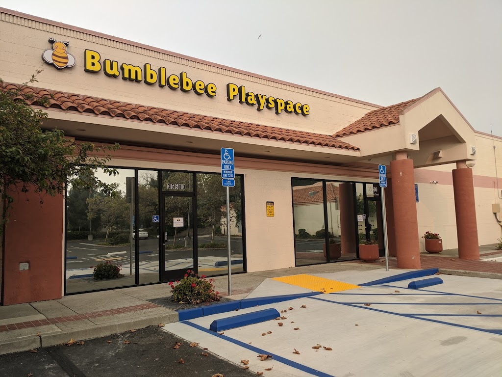 Bumblebee Playspace | 35500 Dumbarton Ct, Newark, CA 94560, USA | Phone: (510) 894-0442