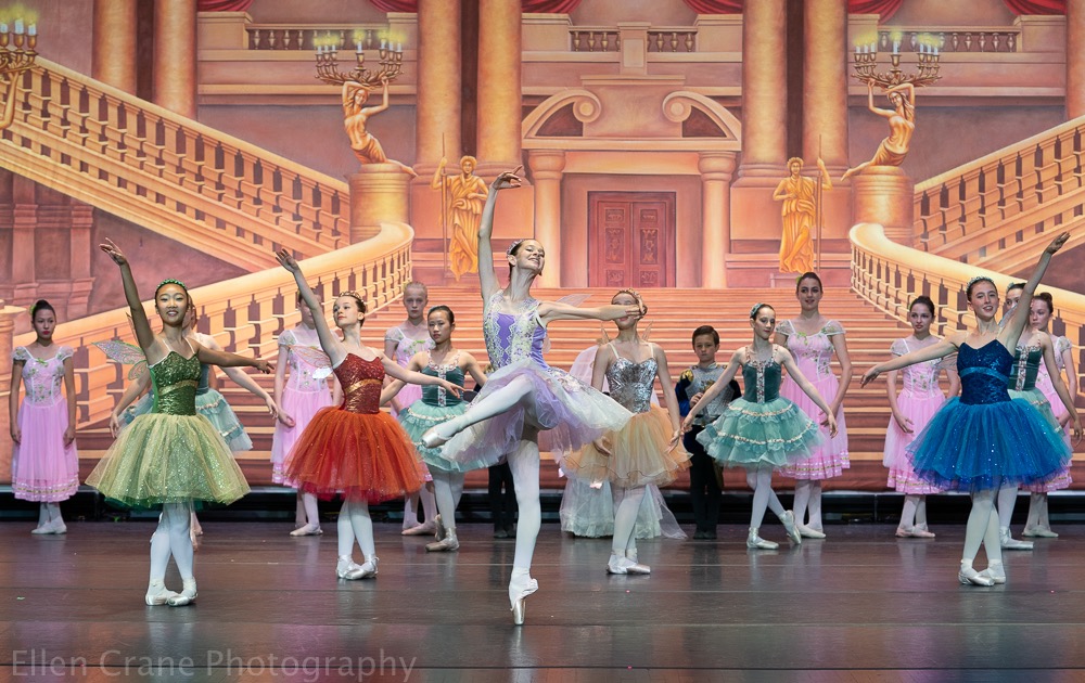 Rye Ballet Conservatory | The Rye Arts Center Location, 51 Milton Rd, Rye, NY 10580, USA | Phone: (914) 565-9367
