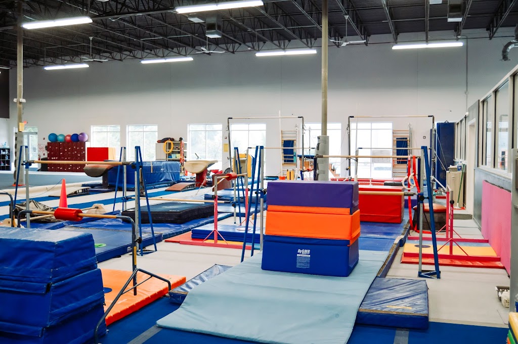 Premier Gymnastics | 27033 State Rd 56, Wesley Chapel, FL 33544, USA | Phone: (813) 973-9920