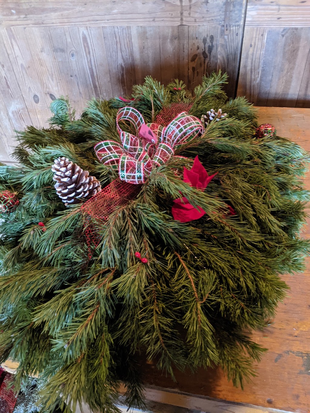 Ever-Greens Christmas Tree Farm | 15794 W OH-2, Oak Harbor, OH 43449, USA | Phone: (419) 707-2538