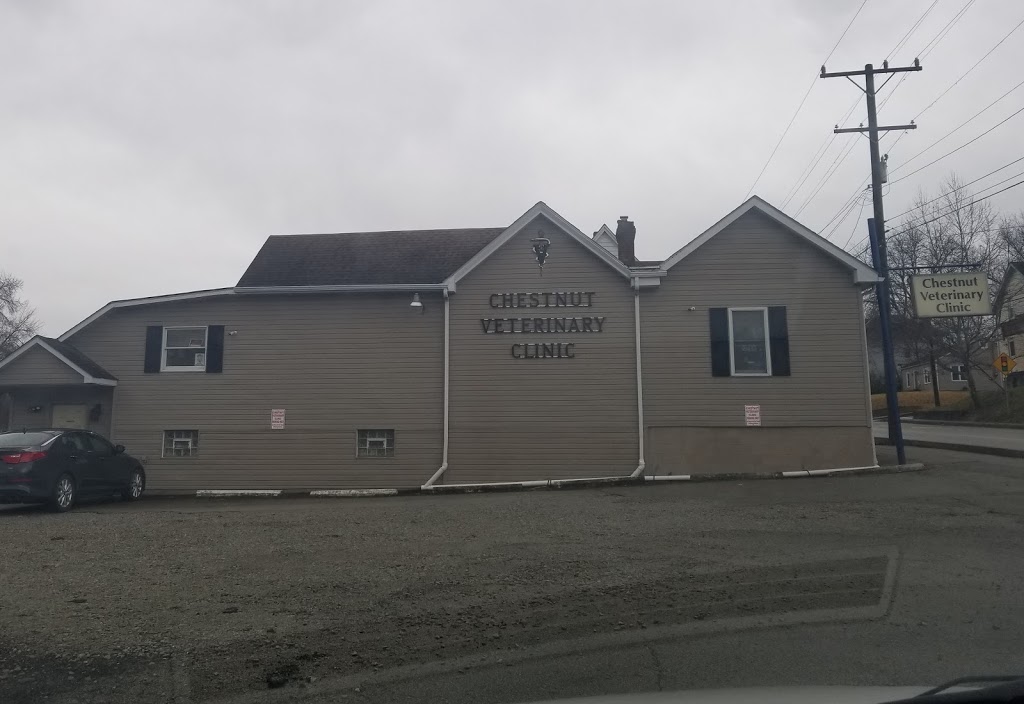 Chestnut Veterinary Clinic | 850 W Chestnut St, Washington, PA 15301, USA | Phone: (724) 222-7040