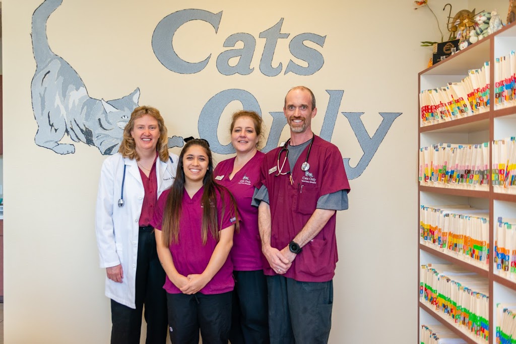 Cats Only Veterinary Hospital | 1220 Sunset Blvd, Rocklin, CA 95765, USA | Phone: (916) 435-9300