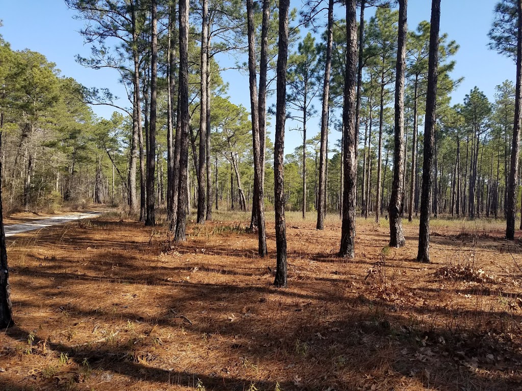 Blackwater Ecological Preserve | Thomas Woods Trail, Zuni, VA 23898, USA | Phone: (757) 683-3597