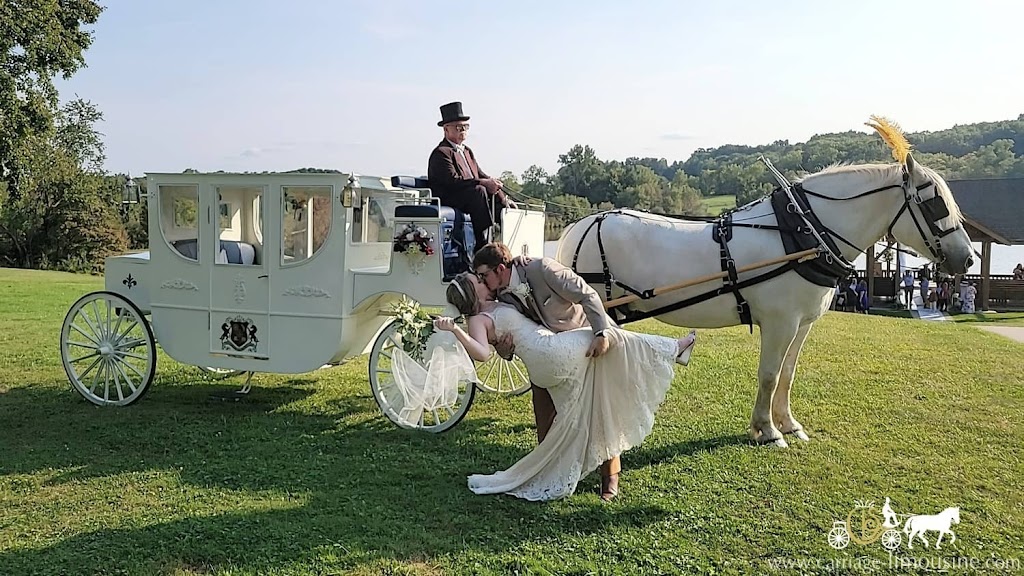 Carriage Limousine Service - Horse Drawn Carriages | 1436 John Campbell Rd, Wellsville, OH 43968, USA | Phone: (330) 532-3866