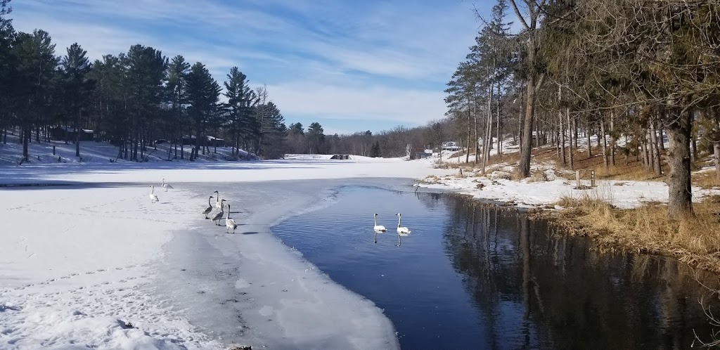 Big Rock Creek | 1674 WI-87, St Croix Falls, WI 54024, USA | Phone: (715) 501-8172