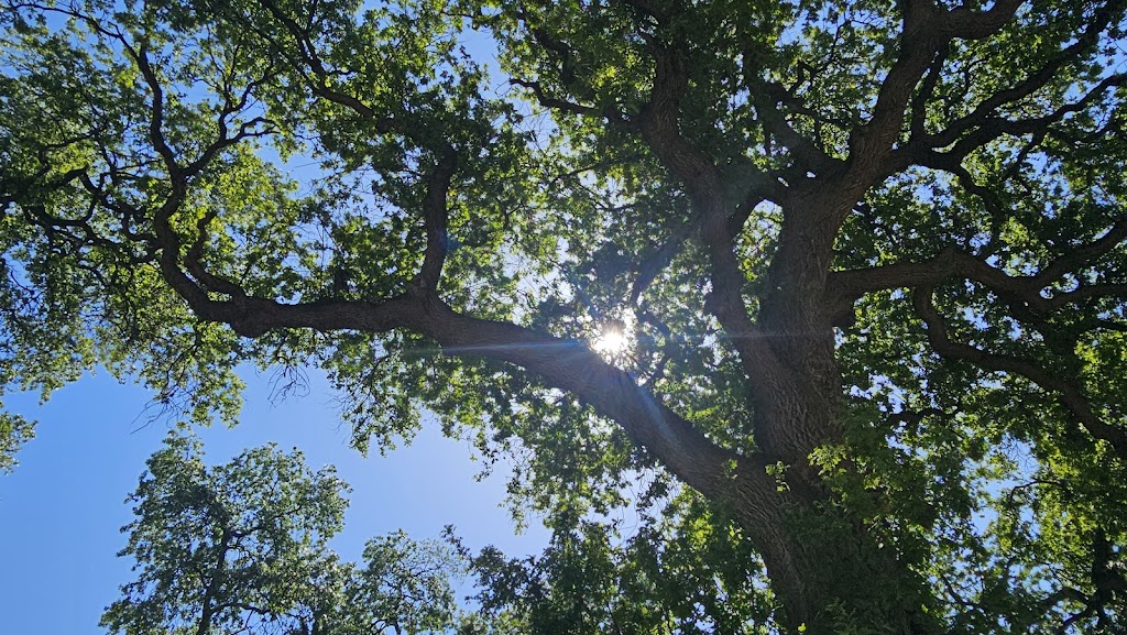 Hickey Park | Hickey Park Dr, Hanford, CA 93230, USA | Phone: (559) 585-2525