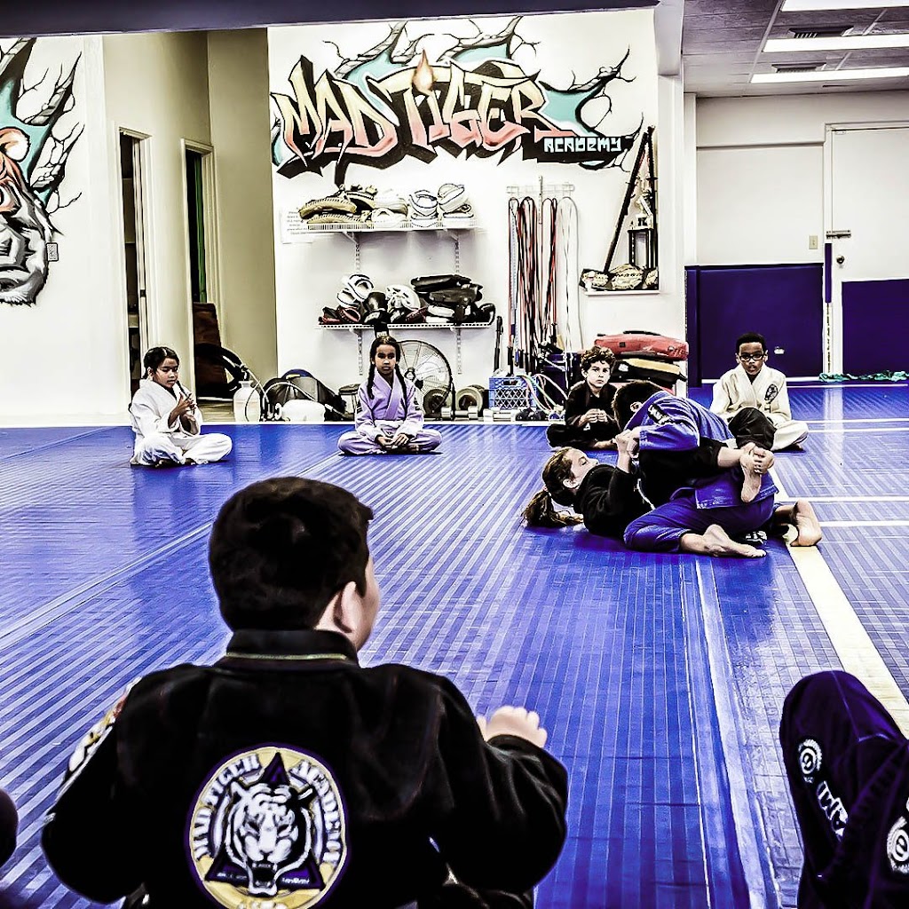 Mad Tiger Academy | 249 Kellog St #4, Wahiawa, HI 96786, USA | Phone: (808) 381-7838