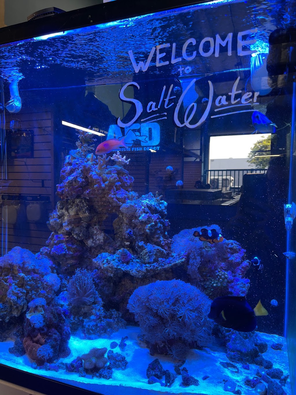 Aquarium Fish Depot | 5121 Santa Fe St Suite F, San Diego, CA 92109, USA | Phone: (858) 926-2060