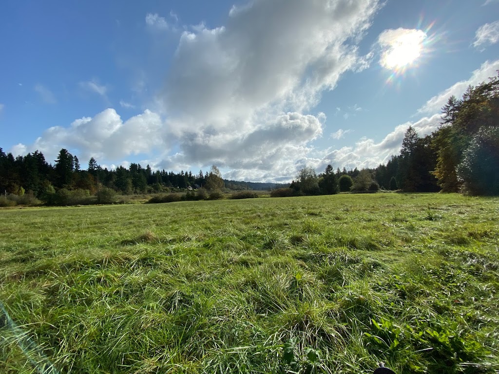 Evans Creek Preserve | 4001 224th Ave NE, Redmond, WA 98053, USA | Phone: (425) 295-0553