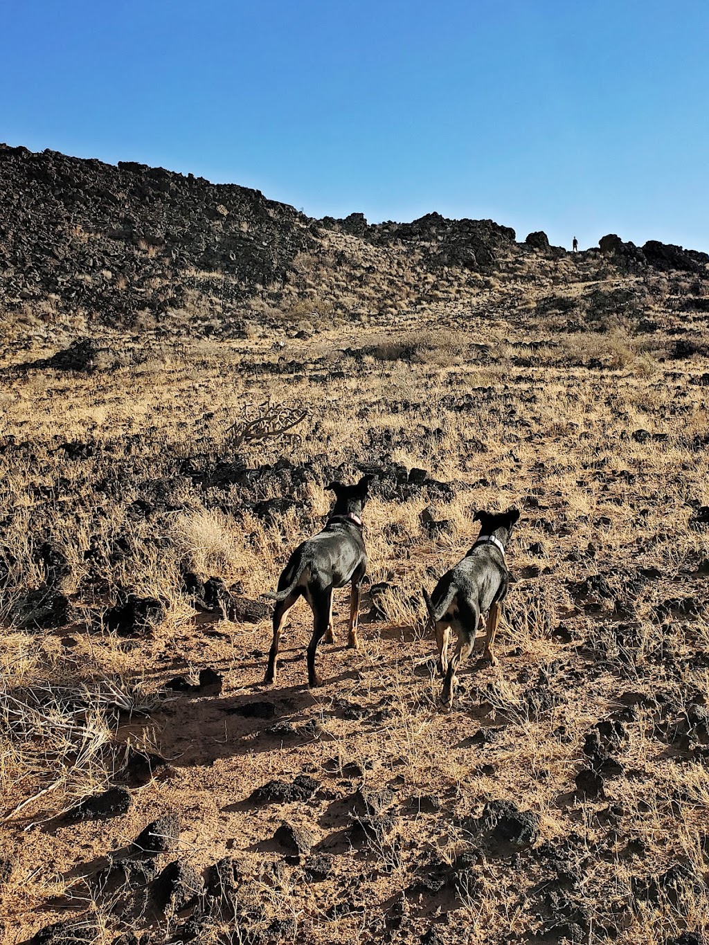 Aden Lava Flow Wilderness | Anthony, NM 88021, USA | Phone: (575) 525-4300