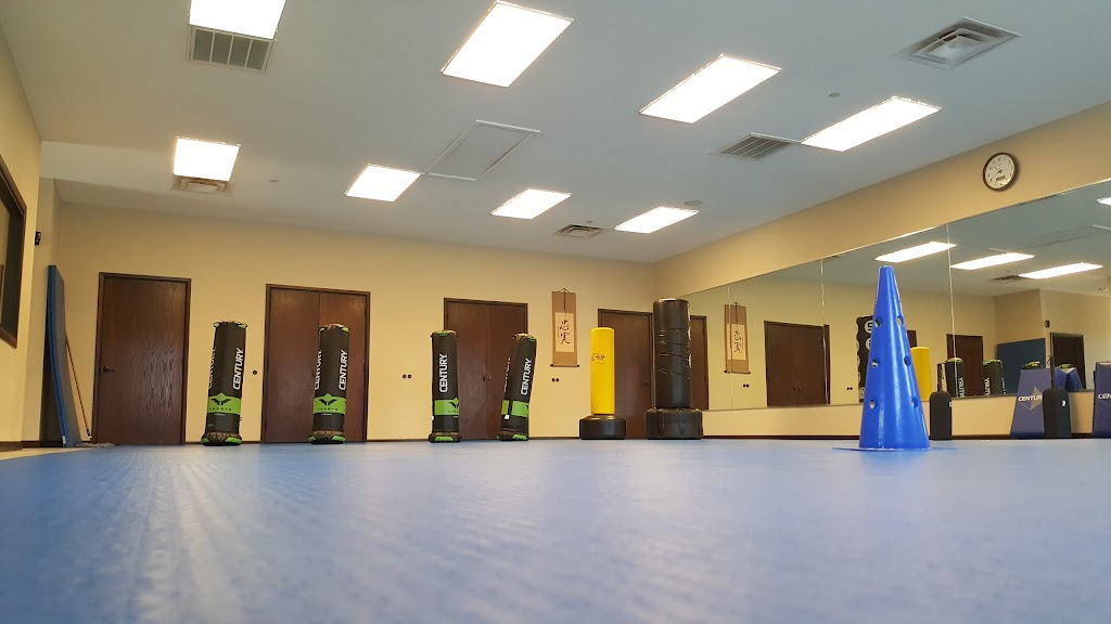 Dragonfly Martial Arts | 6200 Eldorado Pkwy # 200, McKinney, TX 75070, USA | Phone: (972) 547-4440