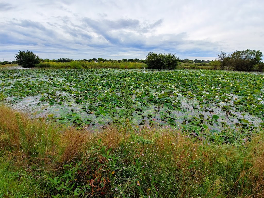 Pracht Wetlands Park | 9926 West 29th St N, Wichita, KS 67205, USA | Phone: (316) 942-4482