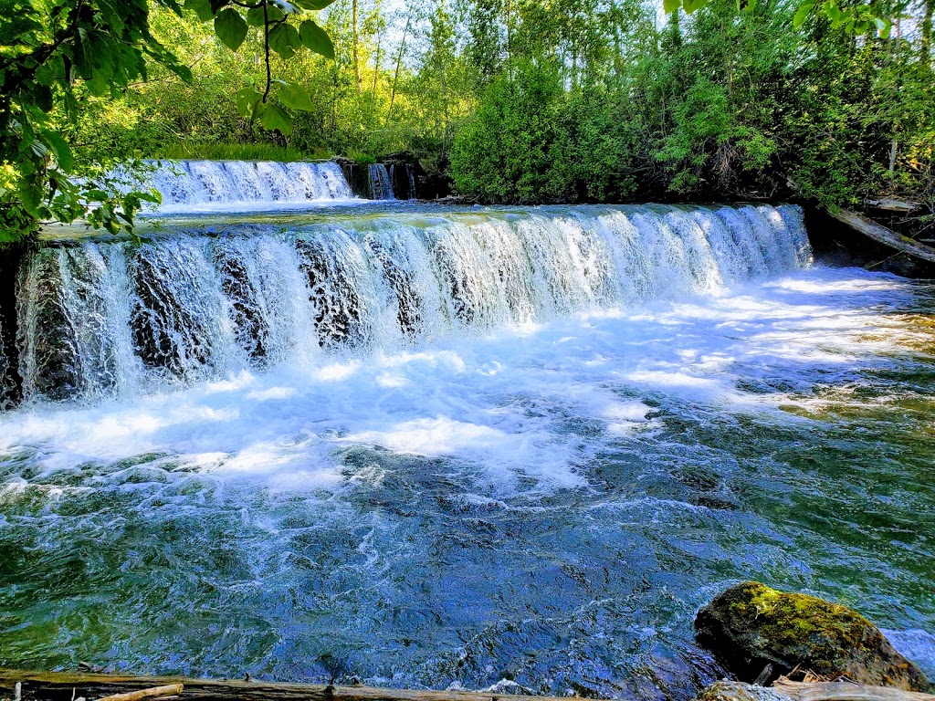 William Jack Hernandez Sport Fish Hatchery | 941 N Reeve Blvd, Anchorage, AK 99501, USA | Phone: (907) 269-0427