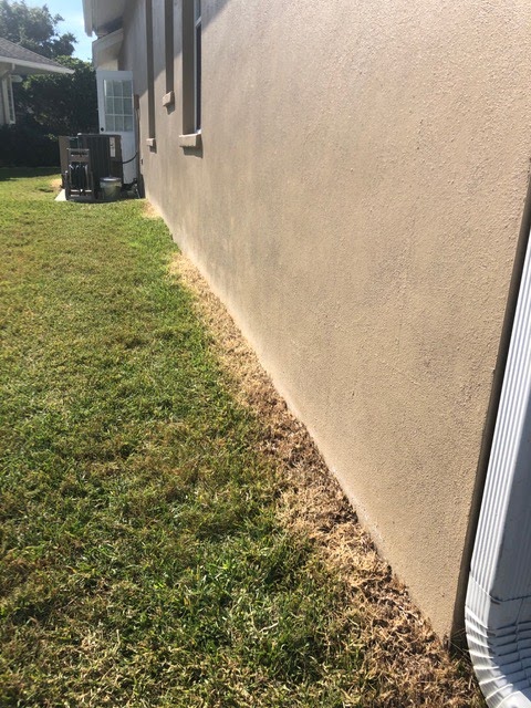 Green-Tech Termite and Pest Control | 1395 Belcher Rd, Palm Harbor, FL 34683 | Phone: (727) 772-7378