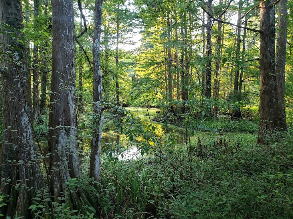 Northlake Nature Center | 23135 U.S. Hwy 190, Mandeville, LA 70448, USA | Phone: (985) 626-1238