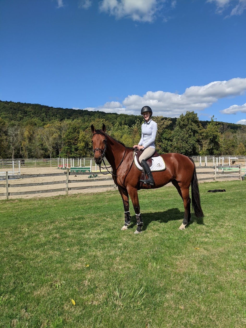 Kohler Equestrian, LLC | 6 Pueblo Pkwy, Sparta Township, NJ 07871, USA | Phone: (973) 978-9152