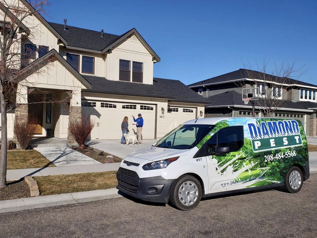 Diamond Lawns | 1235 E McMillan Rd, Meridian, ID 83646, USA | Phone: (208) 484-5568