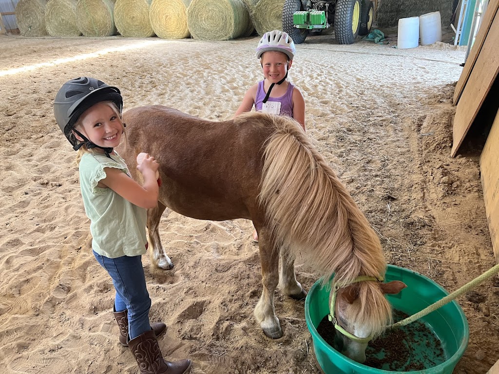 Hearts & Horses Equine Center LLC | 1668 313th Ave NW, Cambridge, MN 55008, USA | Phone: (763) 402-2106