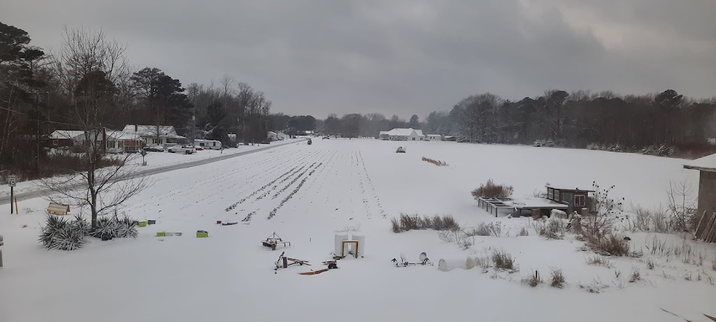 Coinjock Creek Farms / Griggs Snowden House | 112 Maple Rd, Maple, NC 27956, USA | Phone: (252) 267-3332